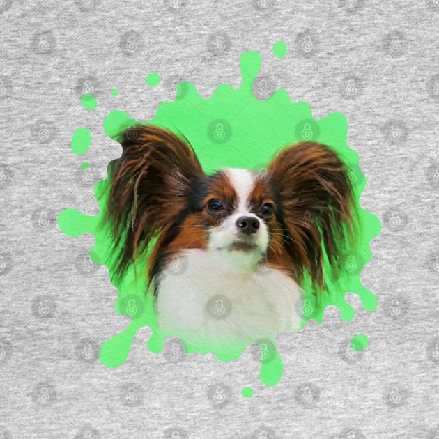 Papillon -Continental Toy Spaniel by Nartissima